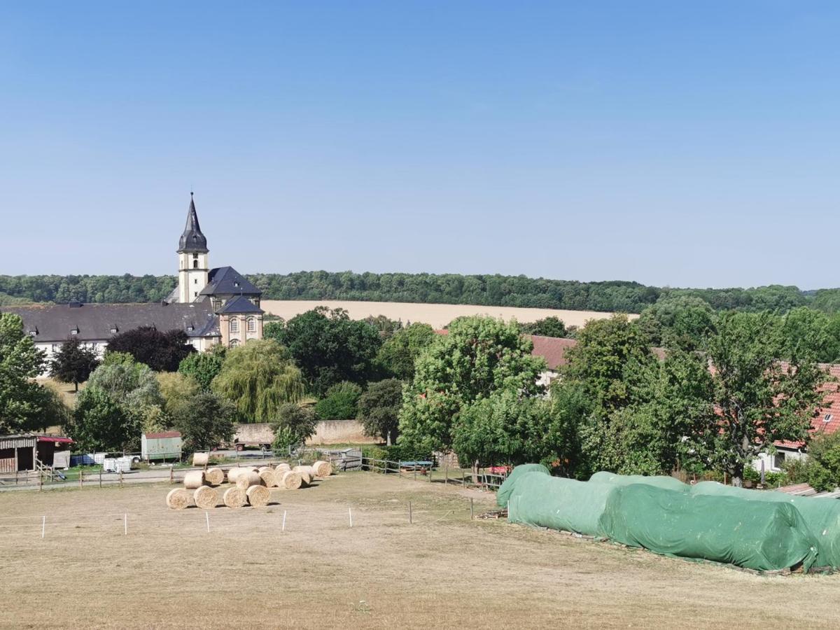 Ferienwohnung Alpakahof Goslar Bagian luar foto
